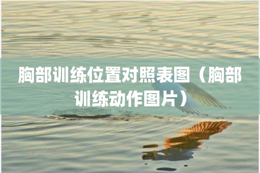 胸部训练位置对照表图（胸部训练动作图片）