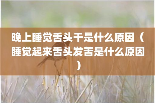 晚上睡觉舌头干是什么原因（睡觉起来舌头发苦是什么原因）