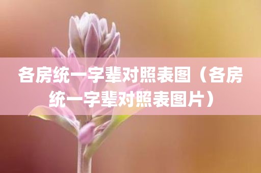 各房统一字辈对照表图（各房统一字辈对照表图片）