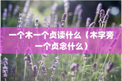 一个木一个贞读什么（木字旁一个贞念什么）