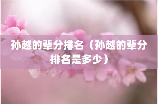 孙越的辈分排名（孙越的辈分排名是多少）