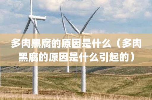 多肉黑腐的原因是什么（多肉黑腐的原因是什么引起的）
