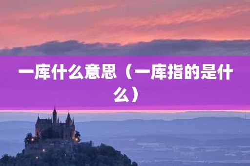 一库什么意思(一库指的是什么)