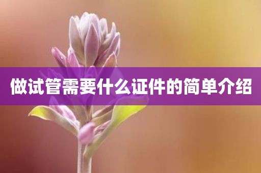 做试管需要什么证件的简单介绍