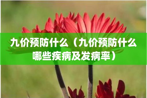 九价预防什么（九价预防什么哪些疾病及发病率）