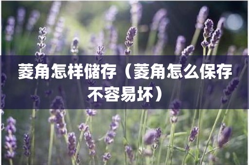 菱角怎样储存（菱角怎么保存不容易坏）