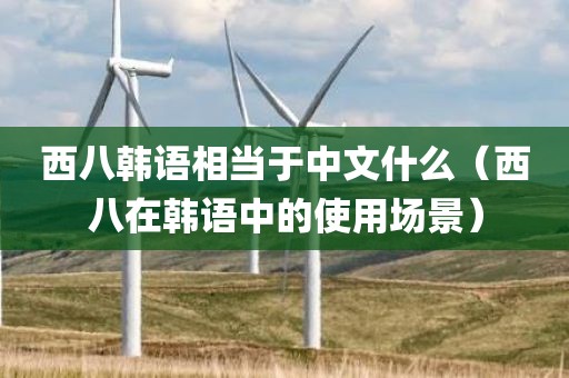 西八韩语相当于中文什么(西八在韩语中的使用场景)
