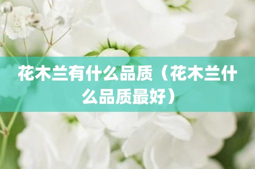 花木兰有什么品质（花木兰什么品质最好）