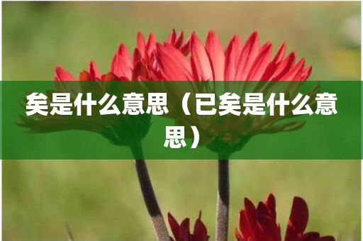 矣是什么意思（已矣是什么意思）