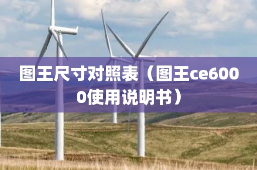 图王尺寸对照表（图王ce6000使用说明书）