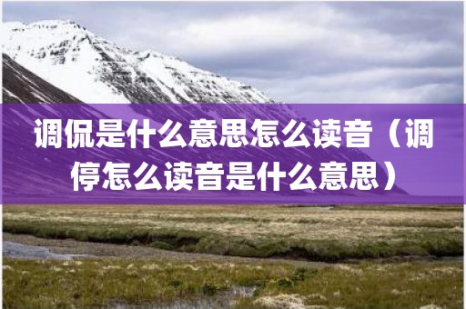 调侃是什么意思怎么读音(调停怎么读音是什么意思)