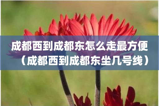 成都西到成都东怎么走最方便（成都西到成都东坐几号线）
