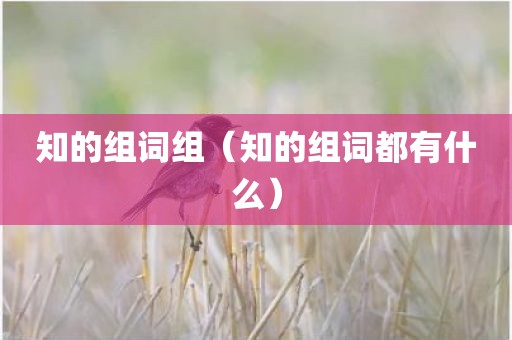 知的组词组（知的组词都有什么）