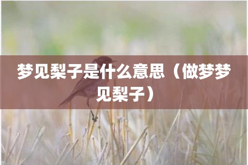 梦见梨子是什么意思（做梦梦见梨子）