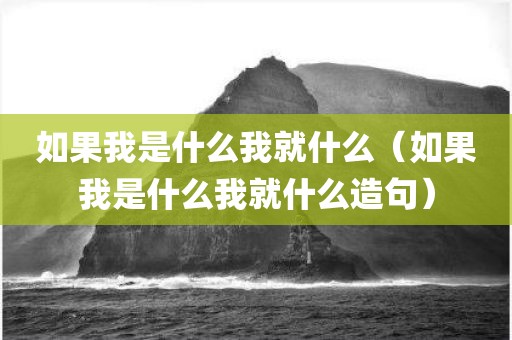 如果我是什么我就什么（如果我是什么我就什么造句）