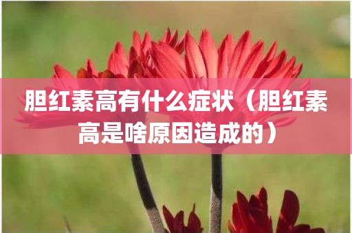 胆红素高有什么症状（胆红素高是啥原因造成的）
