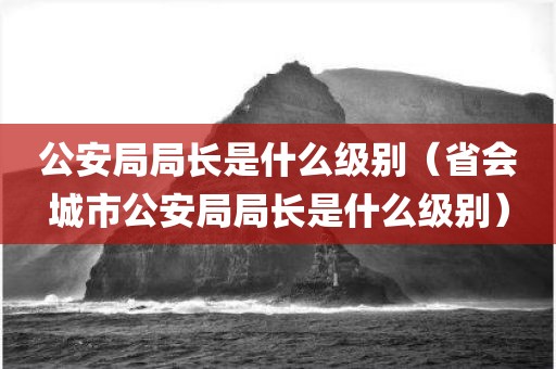 公安局局长是什么级别（省会城市公安局局长是什么级别）