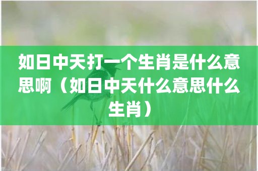 如日中天打一个生肖是什么意思啊（如日中天什么意思什么生肖）