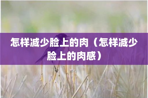 怎样减少脸上的肉（怎样减少脸上的肉感）