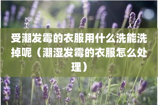 受潮发霉的衣服用什么洗能洗掉呢（潮湿发霉的衣服怎么处理）