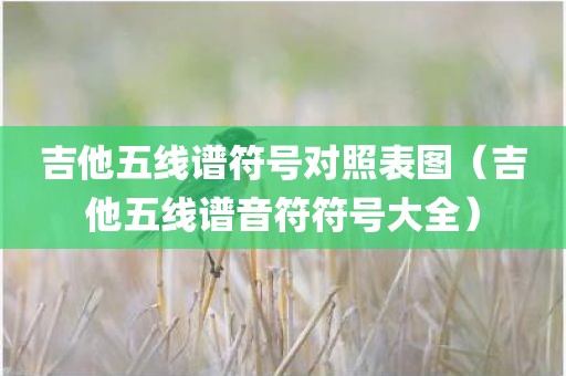 吉他五线谱符号对照表图（吉他五线谱音符符号大全）