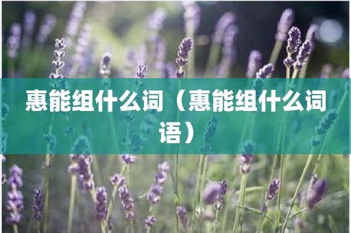 惠能组什么词（惠能组什么词语）