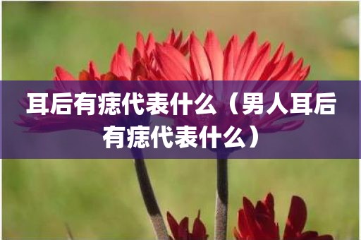 耳后有痣代表什么（男人耳后有痣代表什么）