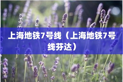 上海地铁7号线（上海地铁7号线芬达）