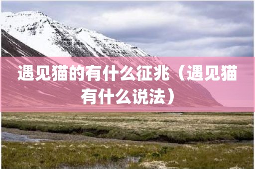 遇见猫的有什么征兆（遇见猫有什么说法）