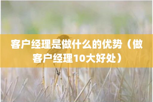 客户经理是做什么的优势（做客户经理10大好处）