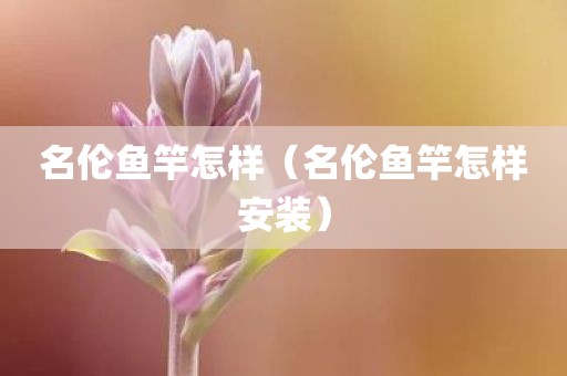 名伦鱼竿怎样（名伦鱼竿怎样安装）