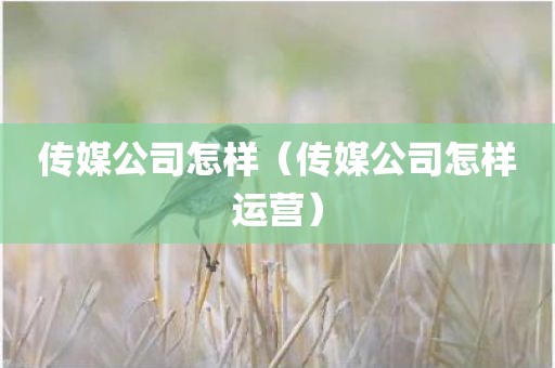 传媒公司怎样（传媒公司怎样运营）