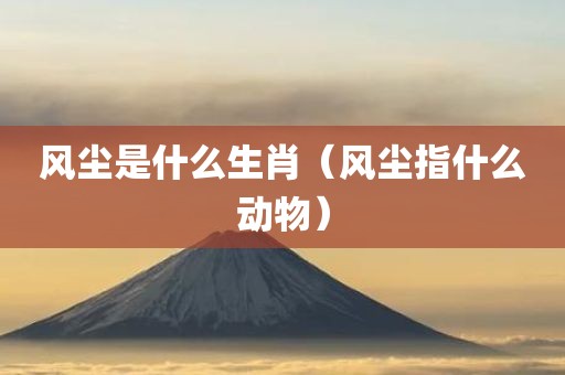 风尘是什么生肖(风尘指什么动物)