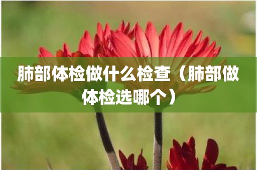 肺部体检做什么检查(肺部做体检选哪个)