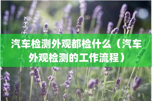 汽车检测外观都检什么（汽车外观检测的工作流程）