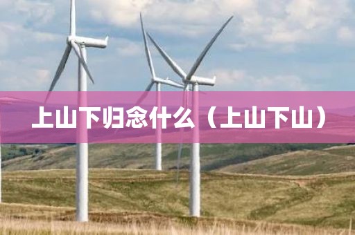 上山下归念什么（上山下山）
