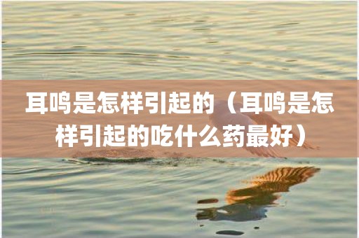 耳鸣是怎样引起的（耳鸣是怎样引起的吃什么药最好）