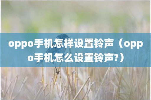 oppo手机怎样设置铃声（oppo手机怎么设置铃声?）