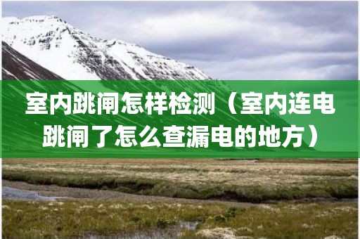 室内跳闸怎样检测（室内连电跳闸了怎么查漏电的地方）