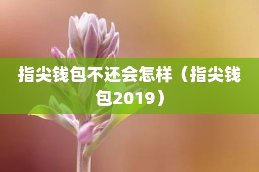 指尖钱包不还会怎样（指尖钱包2019）