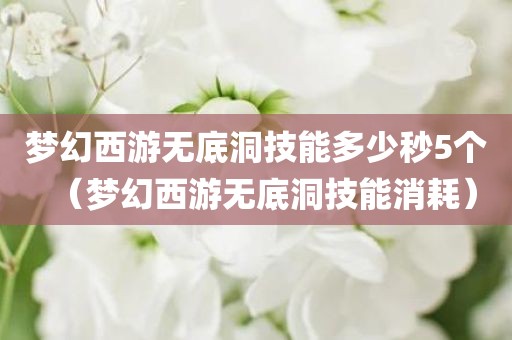 梦幻西游无底洞技能多少秒5个（梦幻西游无底洞技能消耗）