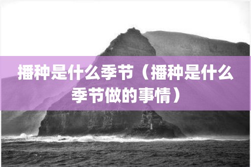 播种是什么季节（播种是什么季节做的事情）