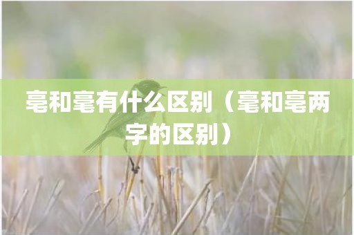 亳和毫有什么区别（毫和亳两字的区别）