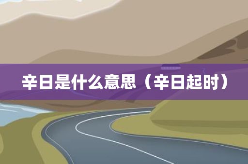 辛日是什么意思（辛日起时）