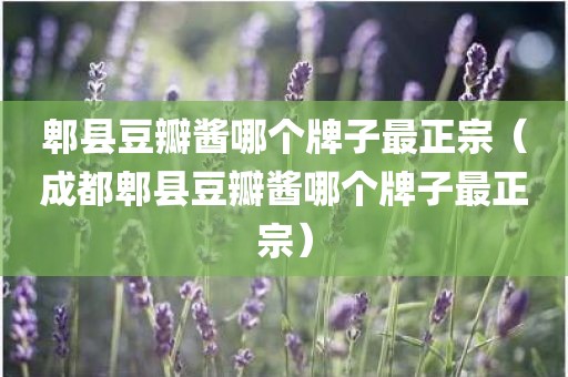 郫县豆瓣酱哪个牌子最正宗（成都郫县豆瓣酱哪个牌子最正宗）