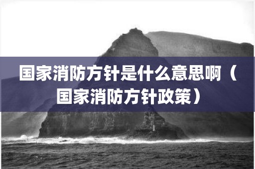 国家消防方针是什么意思啊（国家消防方针政策）