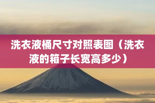 洗衣液桶尺寸对照表图（洗衣液的箱子长宽高多少）