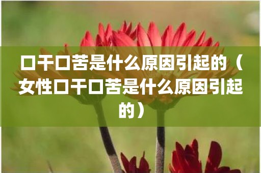 口干口苦是什么原因引起的（女性口干口苦是什么原因引起的）