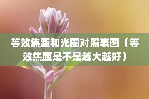 等效焦距和光圈对照表图（等效焦距是不是越大越好）