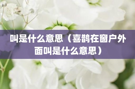 叫是什么意思（喜鹊在窗户外面叫是什么意思）
